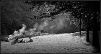 47 - DINER SUR L'HERBE - ANDRIEN DIEUDONNE - belgium <div